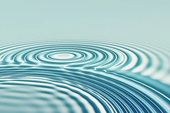 Zenbet Casino Ondersteuning